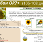 Соняшник під гранстар гібрид - УРБАН OR7(110дн) - фото № 1