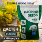 Новинка! Гібрид Ярого ріпака - ДАСТЕН (до 100 дн.) - фото № 1