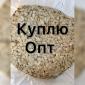 Купимо Гарбузове насіння всіх сортів - фото № 1