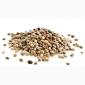 Закупаем семена конопли технической - фото № 1