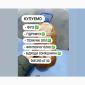 Оливу подсолнечное масло подсолнечное 1 сорт техническое колу покупаем - фото № 2