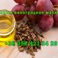 Продам свежеотжатое виноградное масло - фото № 2