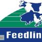 3% премикс для несушки 2 фаза ТМ Feedline - фото № 1