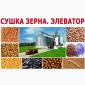 Сушка зерна. Сушка зерна. Чистка зерна в Киевской обл - фото № 2