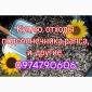 Закупаем деловые и мертвые отходы подсолнуха рапса сои и другие - фото № 1
