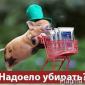 Ферментаційна Несменяєма підстилка для утримання тварин - фото № 1