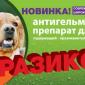 Празикон -ангельминтик широкого спектра действия - фото № 1