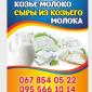Продам козье молоко и сыры из козьего молока - фото № 1