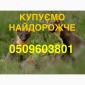 Купуємо куницю та сухого бобра НАЙДОРОЖЧЕ В УКРАЇНІ - фото № 1