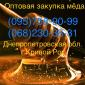Золотой Нектар" Оптовая закупка меда (Кривой Рог) - фото № 1