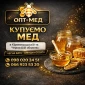 Закупаем мед оптом в центральных областях - фото № 1