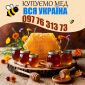 Закупівля меду в Дніпрі. Мінімальна партія - 500 кг. - фото № 1