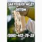 Оптова закупка меда - фото № 1