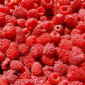 Куплю заморожену малину 80/20, 90/10 та гриз оптом - фото № 1