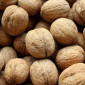 Грецький горіх (кругляк), Бойний. без довбуна, 3т - фото № 1
