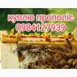 Куплю прополис - фото № 1