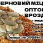 Мицелий - фото № 2