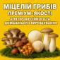 Мицелий - фото № 1