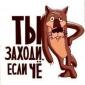 Дюбек Вирджиния домашний ферментированный не воняет не прелый Самосад крепкий дедовский - фото № 1