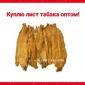 Куплю лист тютюну для сигарет 1 кг, тільки ОПТ ! По всій Україні - фото № 1
