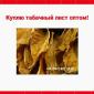 Куплю табачний лист для сигарет 1 кг, оптом! Дорого! Вся Україна - фото № 1