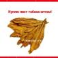 Куплю табачний лист для сигарет 1 кг, тільки ОПТ ! Вся Україна - фото № 1