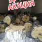 Продам Дрова Акация - фото № 1