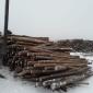 Продамм топливные пеллеты от производителя с 100 тонн - фото № 3