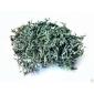Исландский мох сушеный - фото № 1