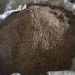 Суміш №3 вико овес + Гірчиця + Люпин 1кг ( Мікс ) - фото № 1