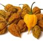 Сушеный перец острый Carolina Reaper Yellow - фото № 1