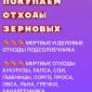 Покупаем отходы зерновых (кукуруза) - фото № 1