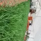 Продам лук Штудгарт на перо - фото № 2