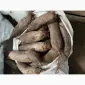 Продам буряк гарної якості. Круглий від 5-12 та є довгий(целиндер) від 4-10 - фото № 2