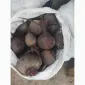 Продам буряк гарної якості круглий від 5-12 та є довгий(целиндер) від 4-10 - фото № 1