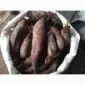Продам буряк гарної якості круглий від 5-12 та є довгий(целиндер) від 4-10 - фото № 4