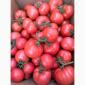 Продам ранній помідор Закарпаття різних сортів - фото № 1