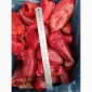 Продам перец целый (столовый). Свежемороженый - фото № 4