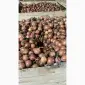 Продам товарный качественный лук - фото № 1