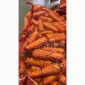 Продам морковь сетевая качество - фото № 1