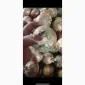 ПРОДАМ лук репчатый на переработку - фото № 1