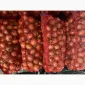 Продам цибулю нал - фото № 1