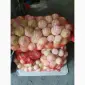 Продам лук чищеный - фото № 1