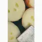 Продам лук на выгонку пера - фото № 1