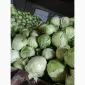 Продам капусту для шинковки центурион продикус - фото № 1