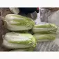 Продам пекинскую капусту - фото № 1