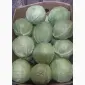 Продам Пекинскую капусту и молодую бронко - фото № 4