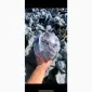 Продажа Пекинской капусты - фото № 10