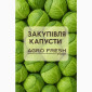Закупівля капусти від ТОВ «Агрофреш Груп» - фото № 1