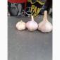 Продам озимый чеснок Любаша - фото № 1